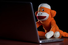 Sock Monkey Using A Computer
