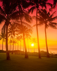 Wall Mural - Golden sky with palm trees tropical sunset, hot romantic summer vacation