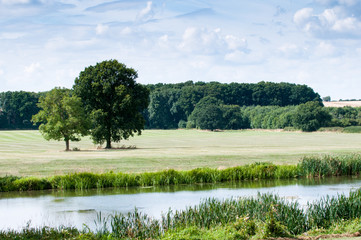 Wall Mural - Countryside landscape in rural English countryside