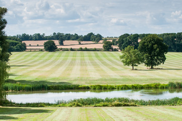 Wall Mural - Countryside landscape in rural English countryside