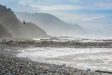 Rocky, Misty And Foggy Oregon Coast Cliffs And Forests With Pelican Flying And People In Distance With Ocean Waves
