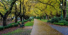 Rosalind Park Bendigo, Victoria, Australia Rainy Day