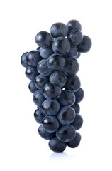 Wall Mural - Black seedless grapes isolated on white background