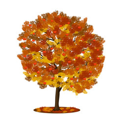 Wall Mural - tree rowan with red and yellow leaves