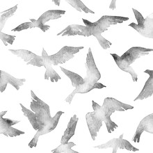 Abstract Flying Bird Set With Watercolor Texture Isolated On White Background.