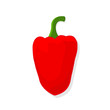 red bell pepper, vector illustration