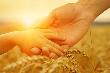 Hands of father and daughter on sun