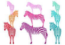 Colorful Zebras, Vector Set