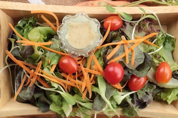 Canvas Print - Vegetables salad with salad dressing is delicious.