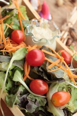 Canvas Print - Vegetables salad with salad dressing is delicious.