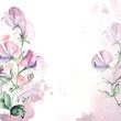 Invitation card with sweet pea and watercolor splash. Floral hand-painted greeting card