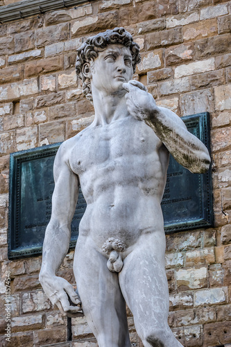 Fotografía Famous statue Michelangelo's David (1504). Florence. Italy.