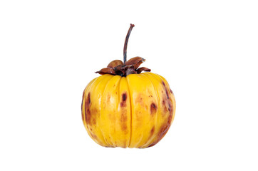 Wall Mural - Garcinia cambogia fruit, isolated on white. Fruit for diet and good health. 