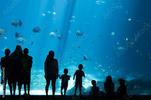 Fotografie, Obraz Silhouettes of People looking at Fish in huge Aquarium, Fish Tank