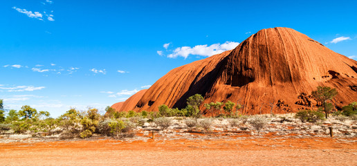 Poster - Australian Outback vegetation, Northern Territory