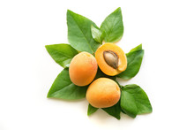 Ripe Apricots With Leaves