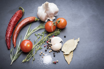 Dry red hot chili peppers, garlic, laurel leafs, tomatoes, seasoning, rosemary and savory on a dark background