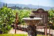 Napa Valley winery in the summer 