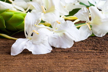 White ginger flowers It also called Garland Lily, sweet white gi