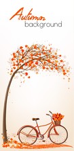 Autumn Tree Background With Bicycle. Vector.