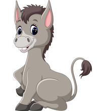 Cute Baby Donkey Cartoon