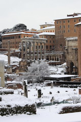 Wall Mural - The Roman Forum under snow in Rome, Italy