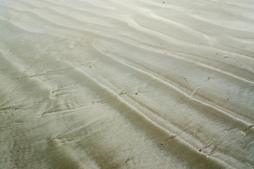 Sticker - wet beach detail