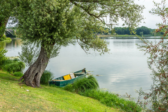 Wall Mural - Boat on the lake under a tree