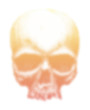 human skull vector illustration.