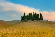 Tuscany Autumn Landscape