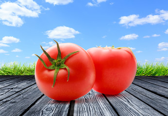 Two fresh tomatoes on sky background