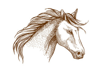 Wall Mural - Horse sketch icon of arabian stallion