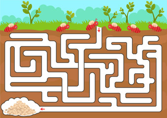 Wall Mural - Vector maze game with find ant room in underground