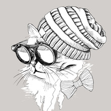Image Portrait Of A Cat Wearing A Knitted Hipster Hat And Sunglasses. Vector Illustration.