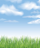 Fototapeta Na sufit - Blue sky with clouds and grass. Vector spring background. Countryside meadow landscape