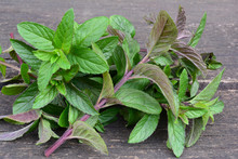 Mentha Piperita Leaves On Wooden Background