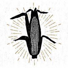Hand Drawn Tribal Icon With A Textured Corn Vector Illustration.