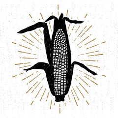 Hand drawn tribal icon with a textured corn vector illustration.