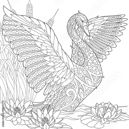 Stylized Beautiful Swan Among Water Lilies Lotus Flowers And Reed Grass Freehand Sketch