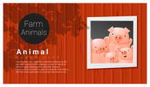 Farm Animal Background With Pig , Vector , Illustration