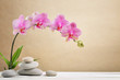 Orchid flowers and spa stones