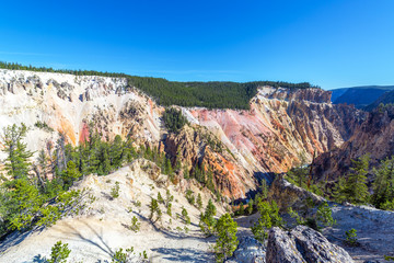 Wall Mural - Grand Canyon of the Yellowstone View