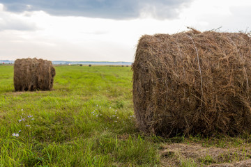 Wall Mural - Pair of round hay bale on green grass