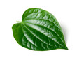 Green betel leaf heart shape isolated on white 