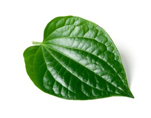 Sticker - Green betel leaf heart shape isolated on white 