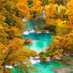 Wall Mural - autumn view on waterfalls and lakesl with turquoise water and g