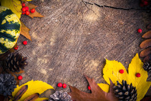 Autumn Background Gifts Nature Wood