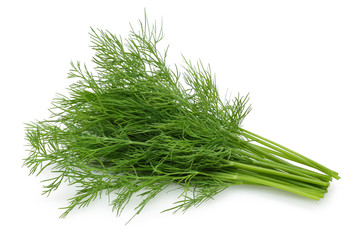 Canvas Print - fresh dill