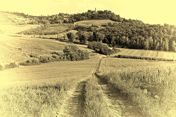 Canvas Print - Fields in Italy