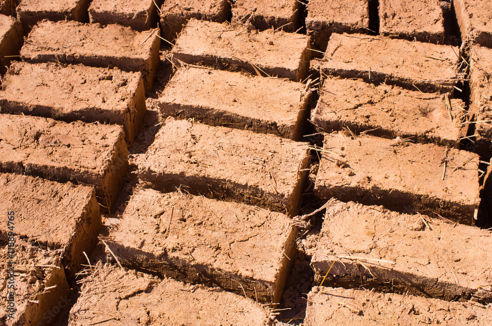 Bricks dried on the sun Stock Photo | Adobe Stock